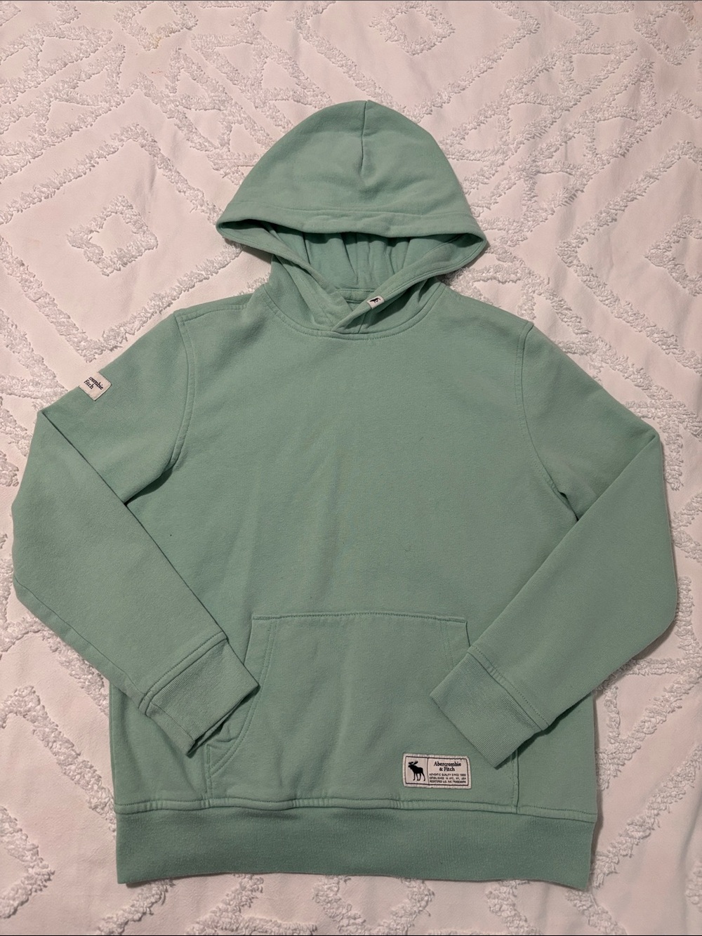 Abercrombie Kids Mint Green Hoodie
